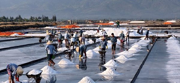 Chiêm ngưỡng "núi tuyết trắng" trên đồng muối Hòn Khói