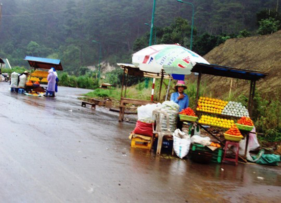 Hồng Đà Lạt trước nguy cơ xóa sổ