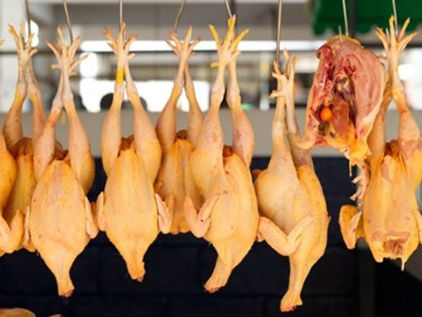 Cuba sẽ nhập khẩu trở lại ít nhất 13.000 tấn thịt gà từ Mỹ