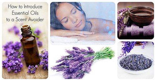 Các công dụng tuyệt vời của tinh dầu lavender