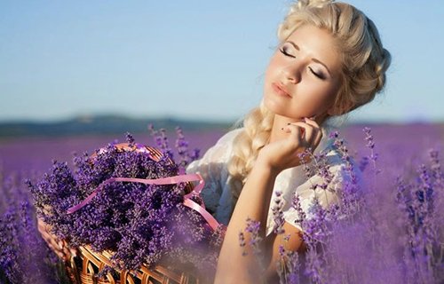 Các công dụng tuyệt vời của tinh dầu lavender