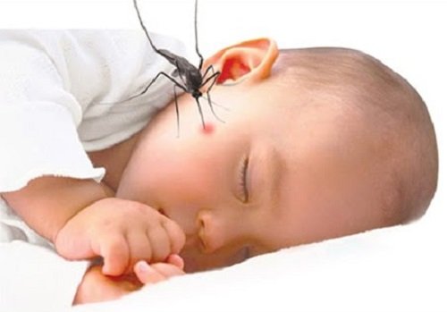 Mẹo trị vết côn trùng cắn ở trẻ nhỏ mẹ nào cũng nên biết