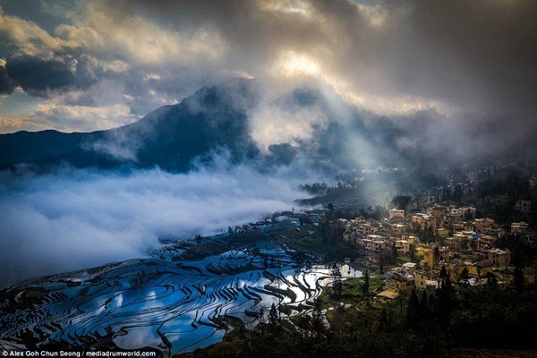 Chiêm ngưỡng ruộng bậc thang mùa nước đổ ở Trung Quốc đẹp như tranh