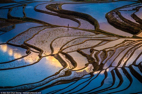 Chiêm ngưỡng ruộng bậc thang mùa nước đổ ở Trung Quốc đẹp như tranh
