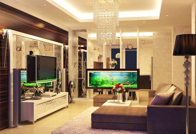 Những điều cần biết về bể cá trong phòng khách giúp mang đến sự hưng vượng