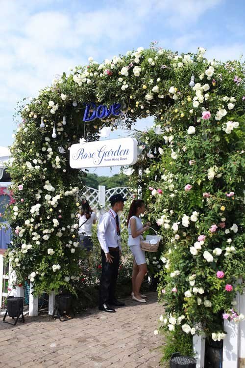 Bất ngờ với vườn hồng lớn nhất Việt Nam