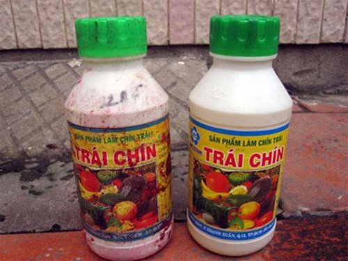 Rùng mình kho thuốc kích chín trái cây của gian thương