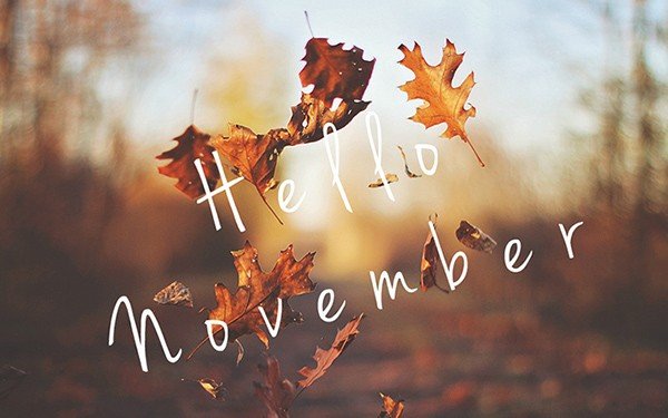 Hé lộ top 4 con giáp "bội thu" nhất tháng 11