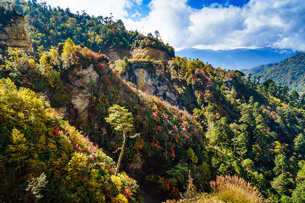 Những khoảnh khắc tuyệt đẹp ở xứ sở cổ tích Bhutan