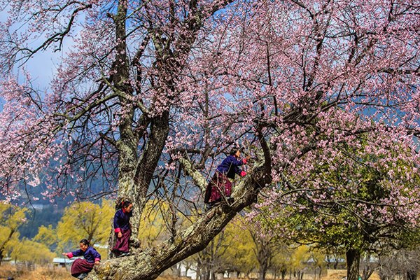 Những khoảnh khắc tuyệt đẹp ở xứ sở cổ tích Bhutan