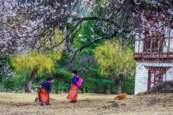 Những khoảnh khắc tuyệt đẹp ở xứ sở cổ tích Bhutan