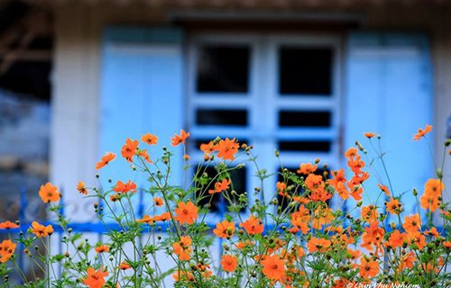 Nàng tiên còn say giấc ở Lâm Đồng