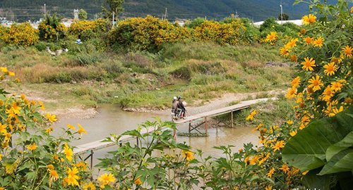 Nàng tiên còn say giấc ở Lâm Đồng