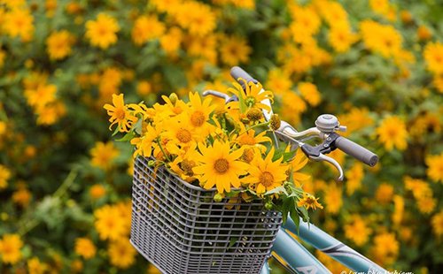 Nàng tiên còn say giấc ở Lâm Đồng