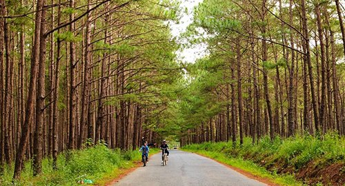 Nàng tiên còn say giấc ở Lâm Đồng
