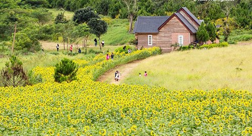 Nàng tiên còn say giấc ở Lâm Đồng