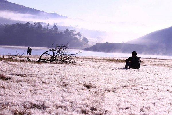 Đến cánh đồng tuyết trắng đẹp mê hồn ở Đà Lạt dịp Tết dương lịch