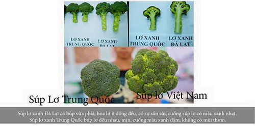 Cách phân biệt đồ ăn Việt Nam và Trung Quốc cực dễ