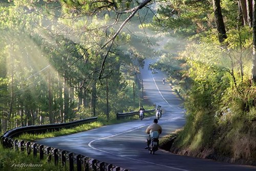 10 trải nghiệm phải thử khi đến Đà Lạt