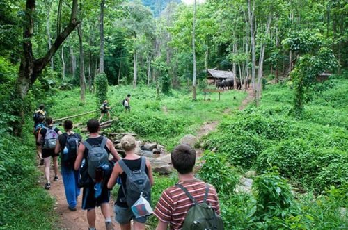 6 việc phải làm ngay khi đi du lịch Chiangmai