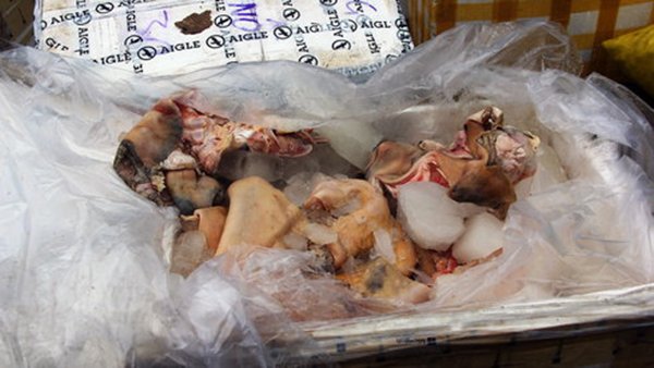 Phát hiện nửa tấn thịt bò "bẩn” được đóng dấu kiểm dịch