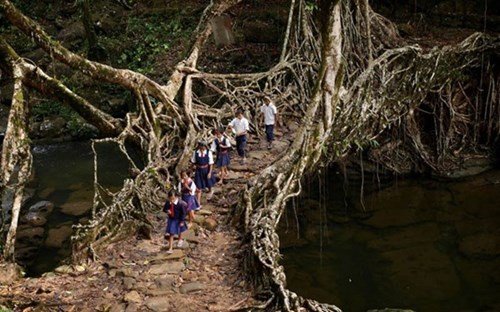 Những cây cầu khiến người xem “sửng sốt” nhất trên thế giới