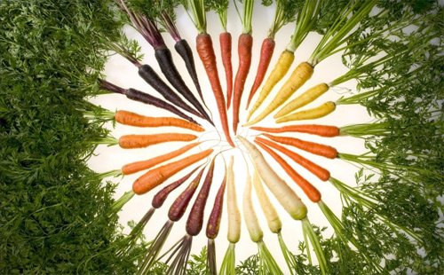 Những sai lầm chết người khi ăn cà rốt cần loại bỏ cấp tốc