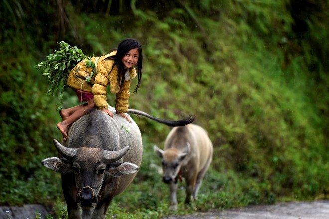 Vẻ đẹp của đất và người Hoàng Su Phì