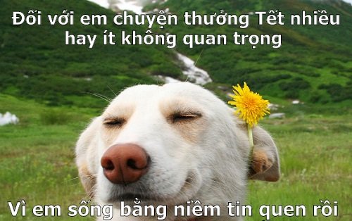 Những câu chuyện bi hài về thưởng Tết