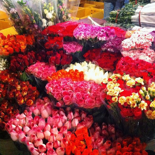 Rực rỡ sắc màu tại những chợ hoa nổi tiếng đất Hà thành
