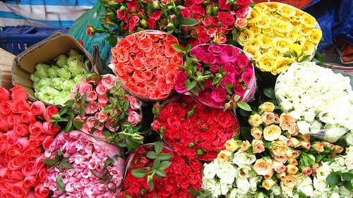 Rực rỡ sắc màu tại những chợ hoa nổi tiếng đất Hà thành