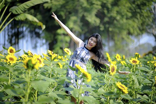 Vườn hướng dương cách Sài Gòn 35km hấp dẫn giới trẻ