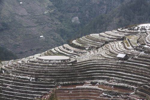 Chùm ảnh tuyết phủ tuyệt đẹp trên đỉnh La Pán Tẩn