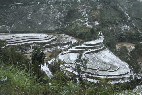 Chùm ảnh tuyết phủ tuyệt đẹp trên đỉnh La Pán Tẩn