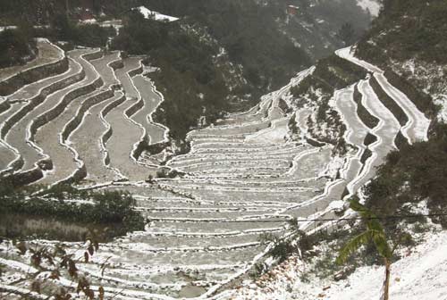 Chùm ảnh tuyết phủ tuyệt đẹp trên đỉnh La Pán Tẩn