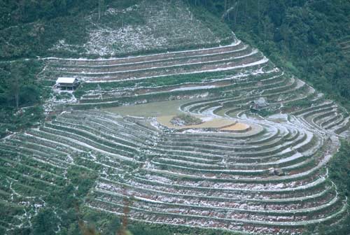 Chùm ảnh tuyết phủ tuyệt đẹp trên đỉnh La Pán Tẩn