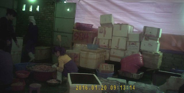 39.000 một kg mực tươi và những chiêu trò ai cũng phải ớn lạnh