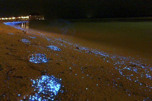 Những điểm đến đẹp như hư cấu