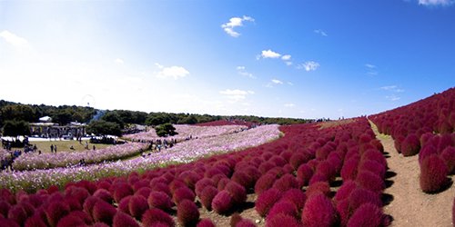 Những điểm đến đẹp như hư cấu