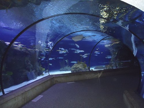 8 vườn thú có quy mô khổng lồ nhất thế giới