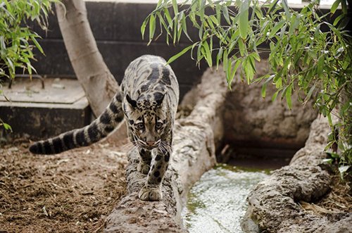 8 vườn thú có quy mô khổng lồ nhất thế giới