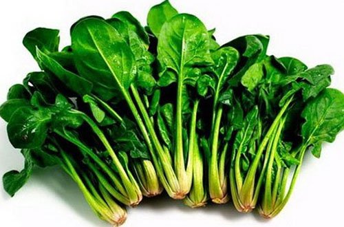 Cảnh báo: Đừng hâm nóng 6 loại thực phẩm sau, chúng sẽ đầu độc cả gia đình bạn