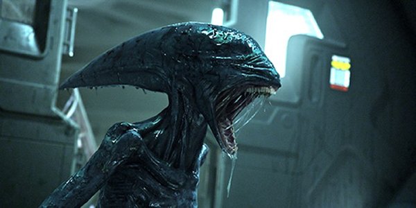 Quái vật Alien và Predator cùng hẹn ngày trở lại
