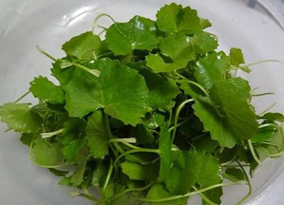 Bài thuốc chữa bệnh trong dân gian bạn không bao giờ được quên