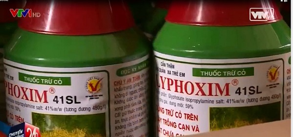 Thuốc diệt cỏ chứa Glyphosate: Thế giới cấm, Việt Nam vẫn bán chạy