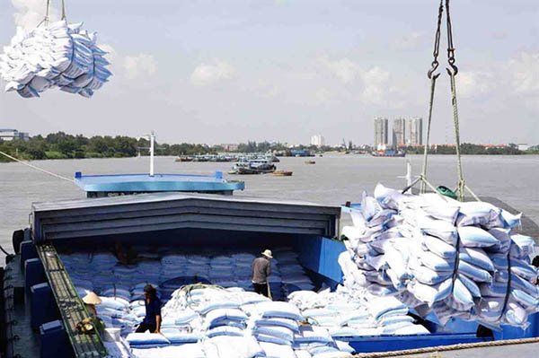 Xuất khẩu gạo không quá lo thị trường