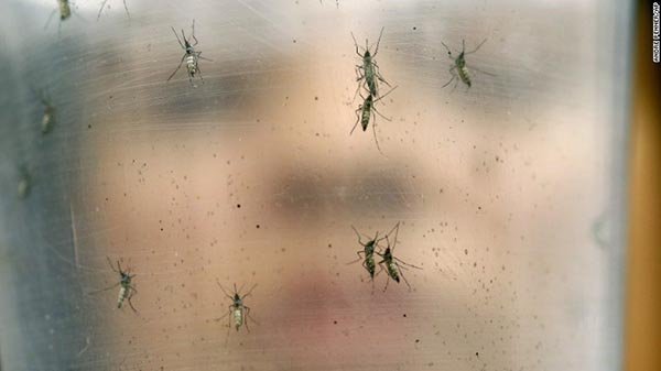 Những cách đơn giản để phòng tránh nhiễm virus Zika