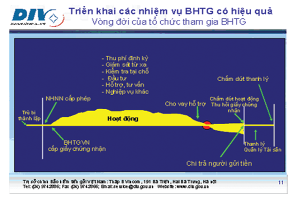 Vai trò mờ nhạt của Bảo hiểm tiền gửi Việt