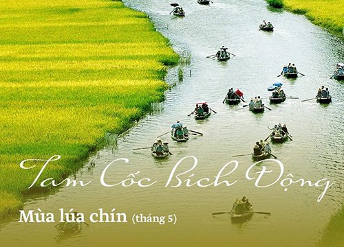 Chọn điểm đến đẹp tuyệt trong 12 tháng