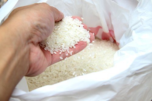 Cách nhận biết gạo "ngậm" nhiều hóa chất - điều ai cũng cần